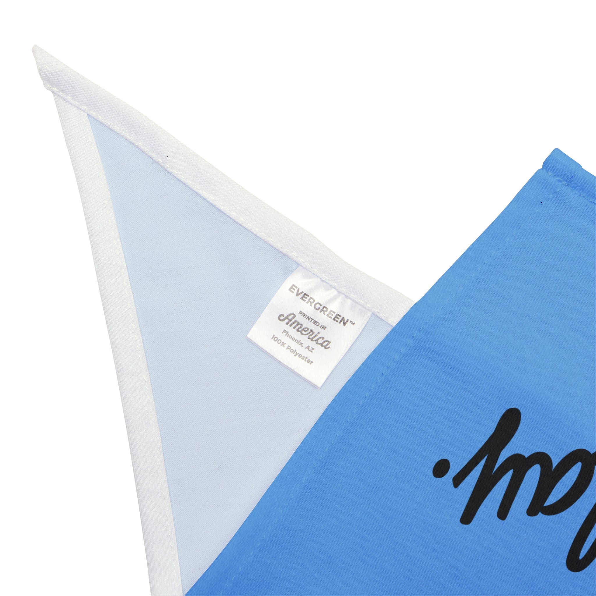 Blue “Sit Stay Slay” Dog Bandana
