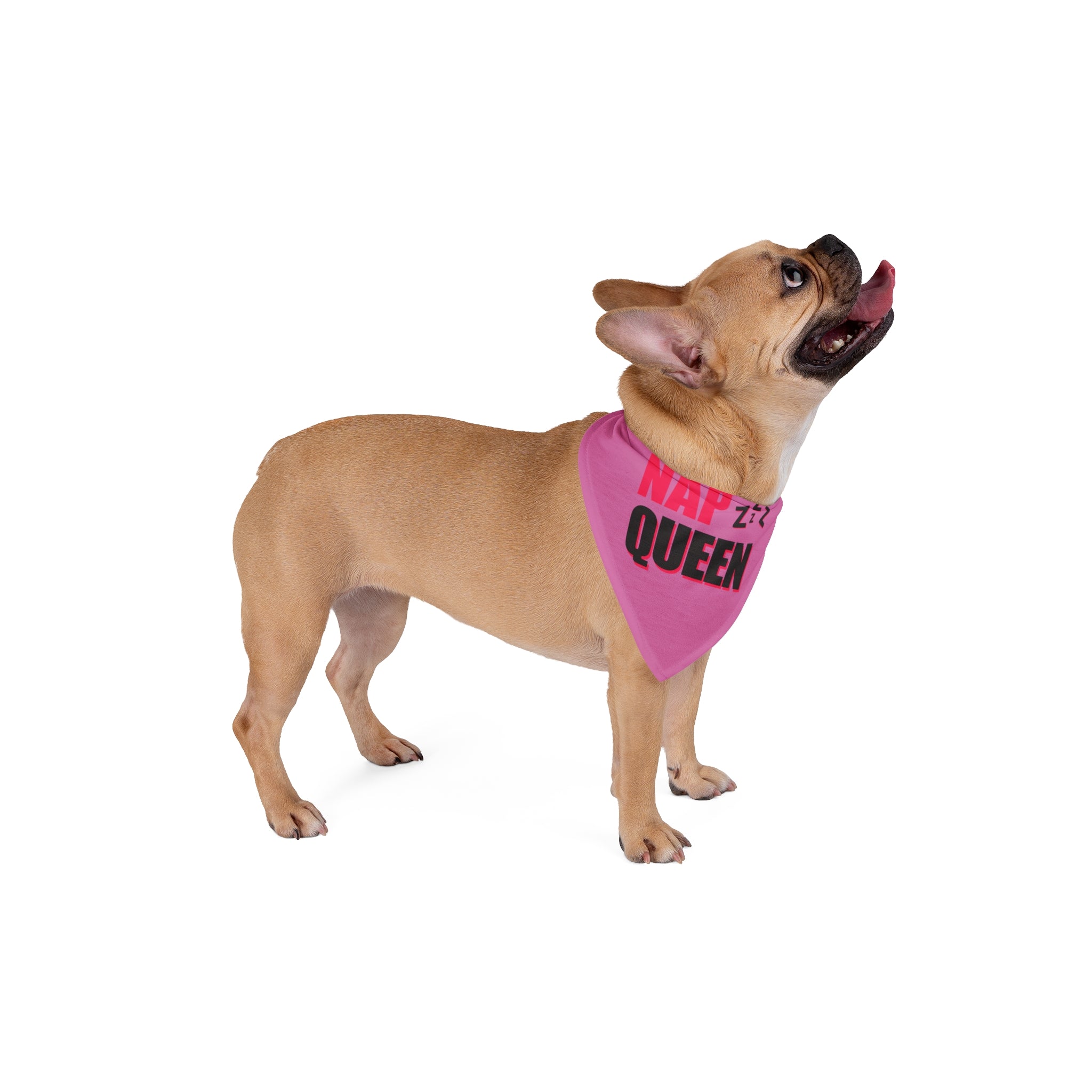 Nap Queen Pet Bandana | Cute Dog Accessory | Pet Clothing | Dog Fashion | Gift for Dog Lovers | Pet Birthday Party
