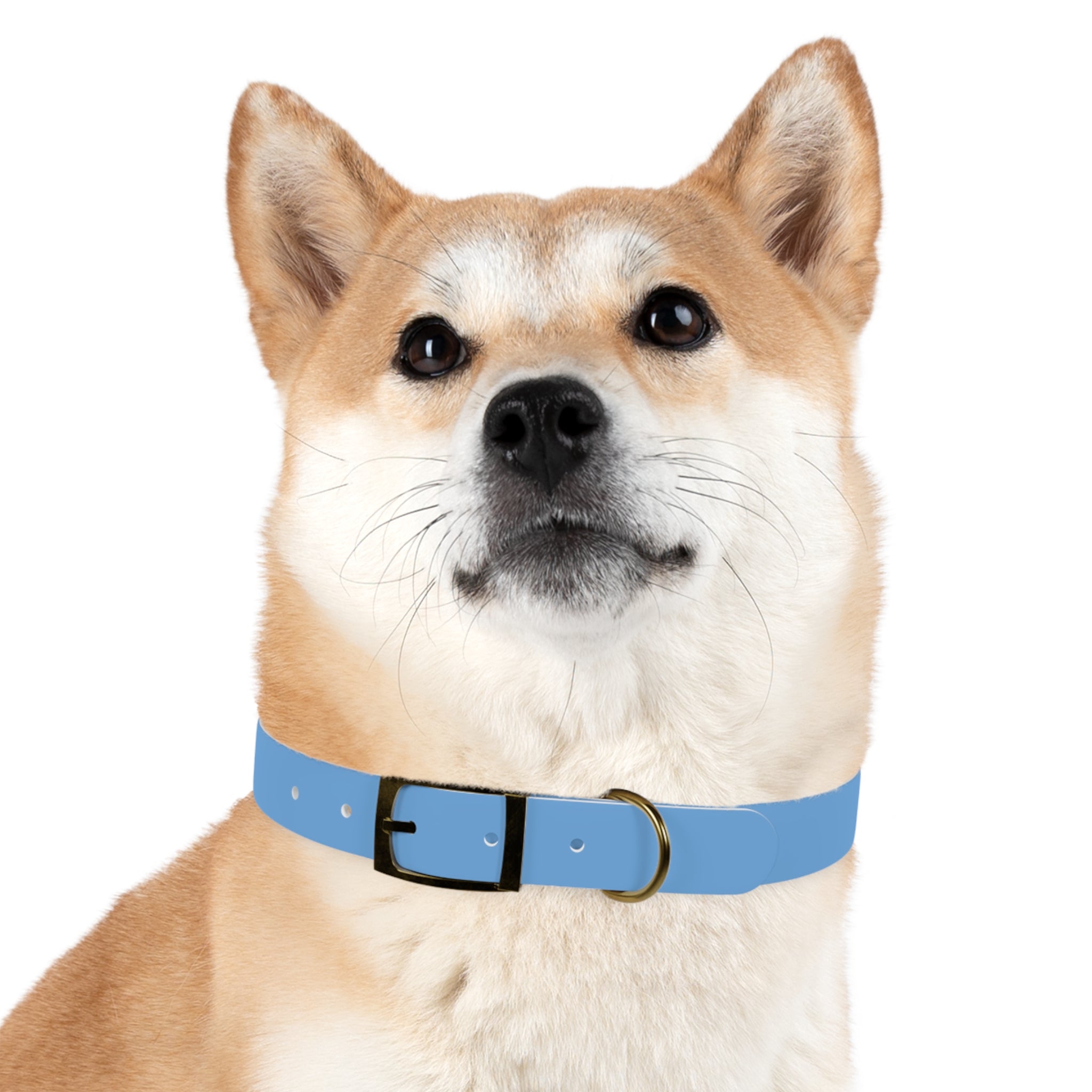 Stylish Dog Collar for Boujee Pups, Trendy Pet Accessory, Unique Dog Gear, Gift for Dog Lovers, Pet Collar