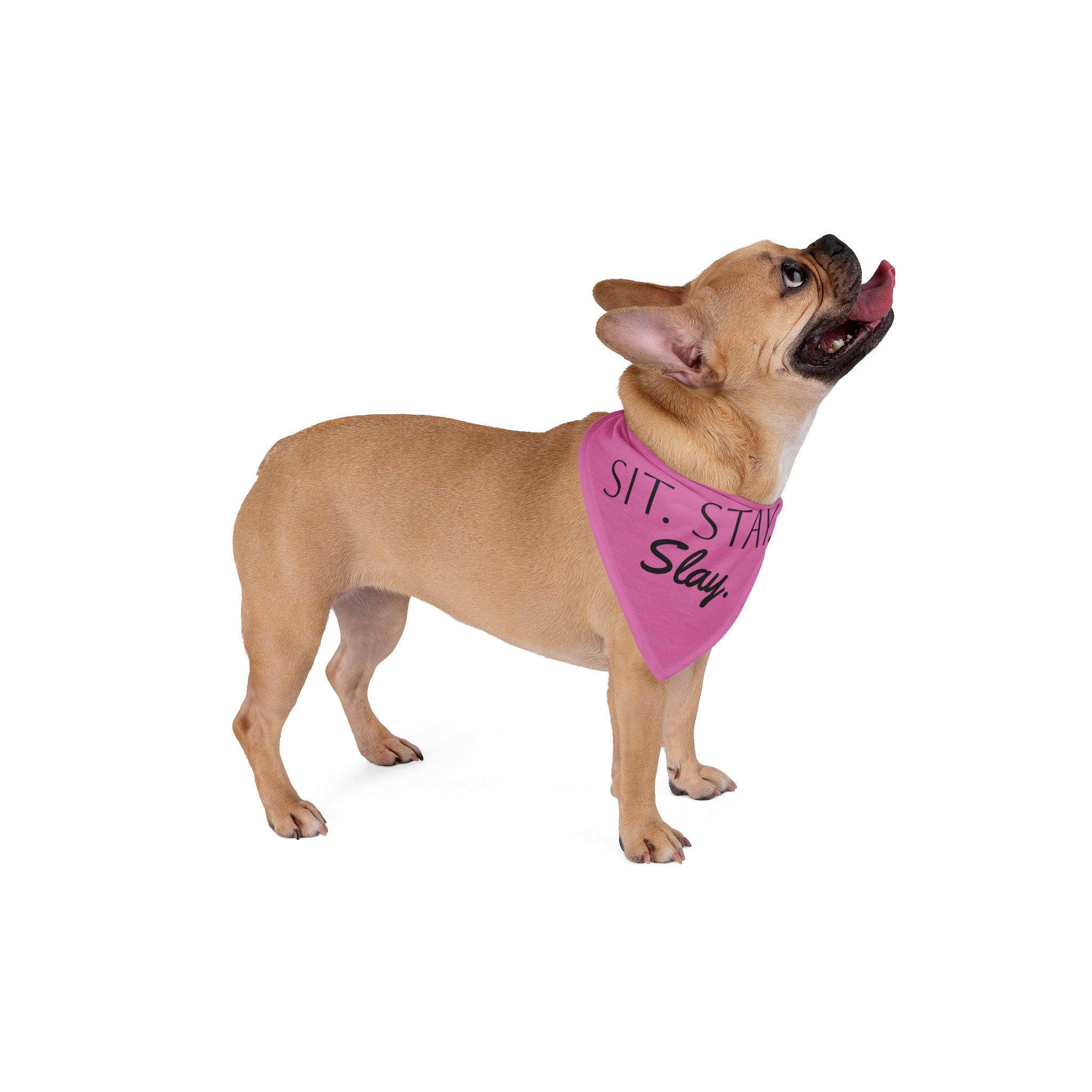 Pink Trendy Pet Bandana - "Sit. Stay. Slay." - Stylish Dog Accessory, Pet Fashion, Cute Gift for Dog Lovers, Holiday and Everyday Wear