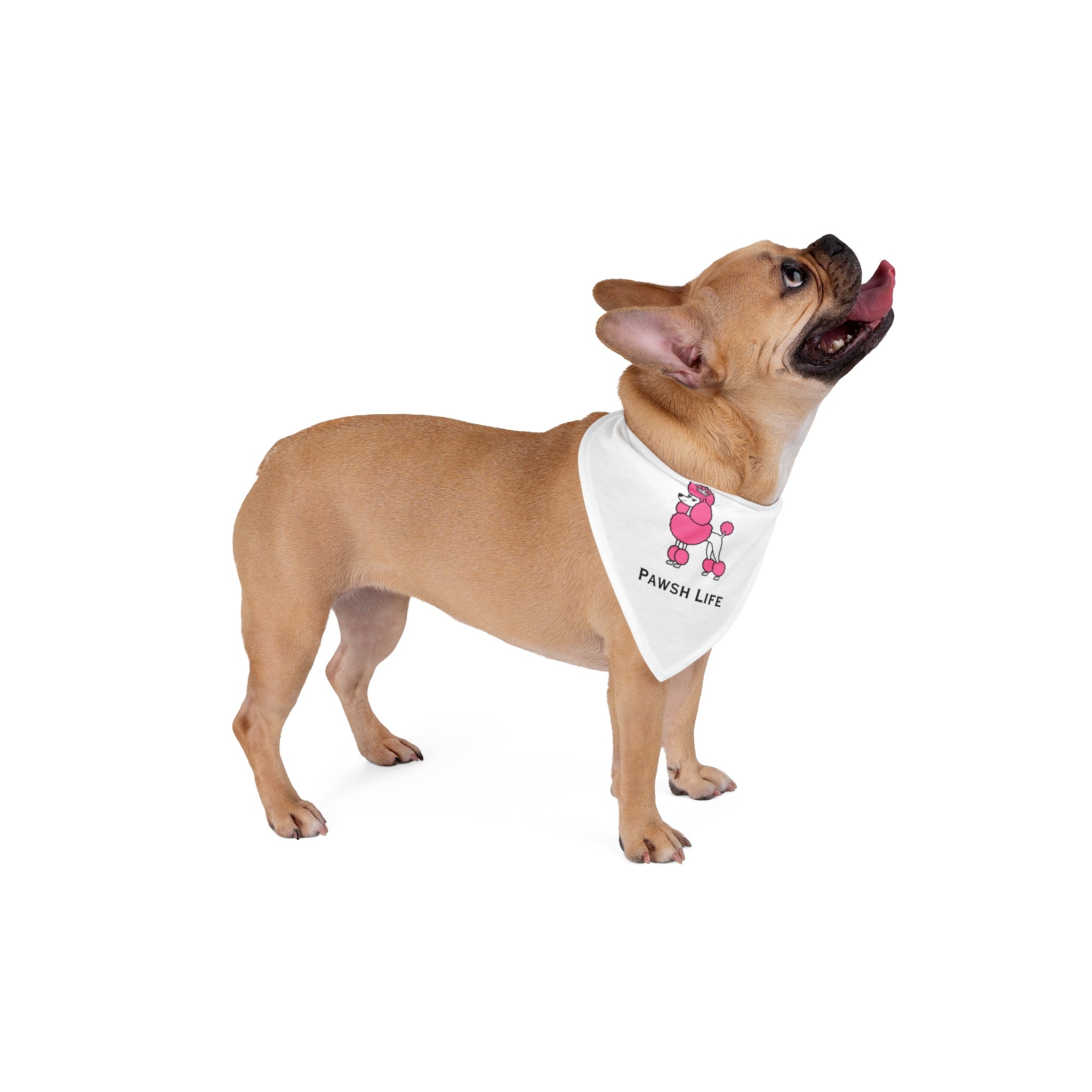 Cute Pet Bandana - Pawsh Life Design, Dog Accessories, Puppy Fashion, Pet Clothing, Holiday Gift for Pets, Cute Dog Bandana