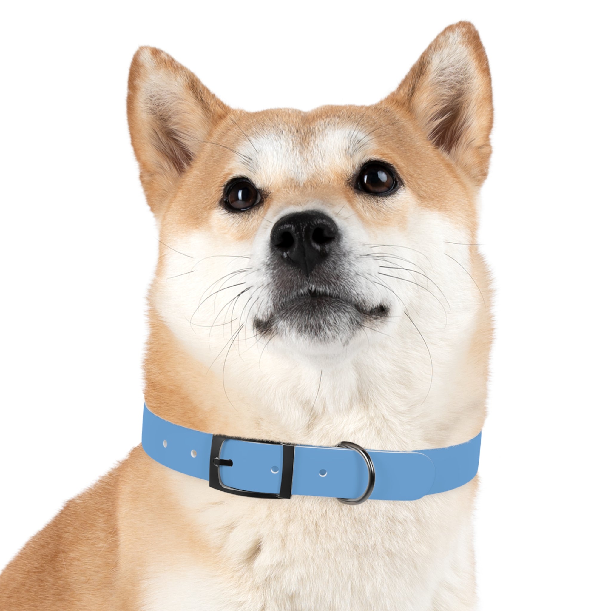 Stylish Dog Collar for Boujee Pups, Trendy Pet Accessory, Unique Dog Gear, Gift for Dog Lovers, Pet Collar