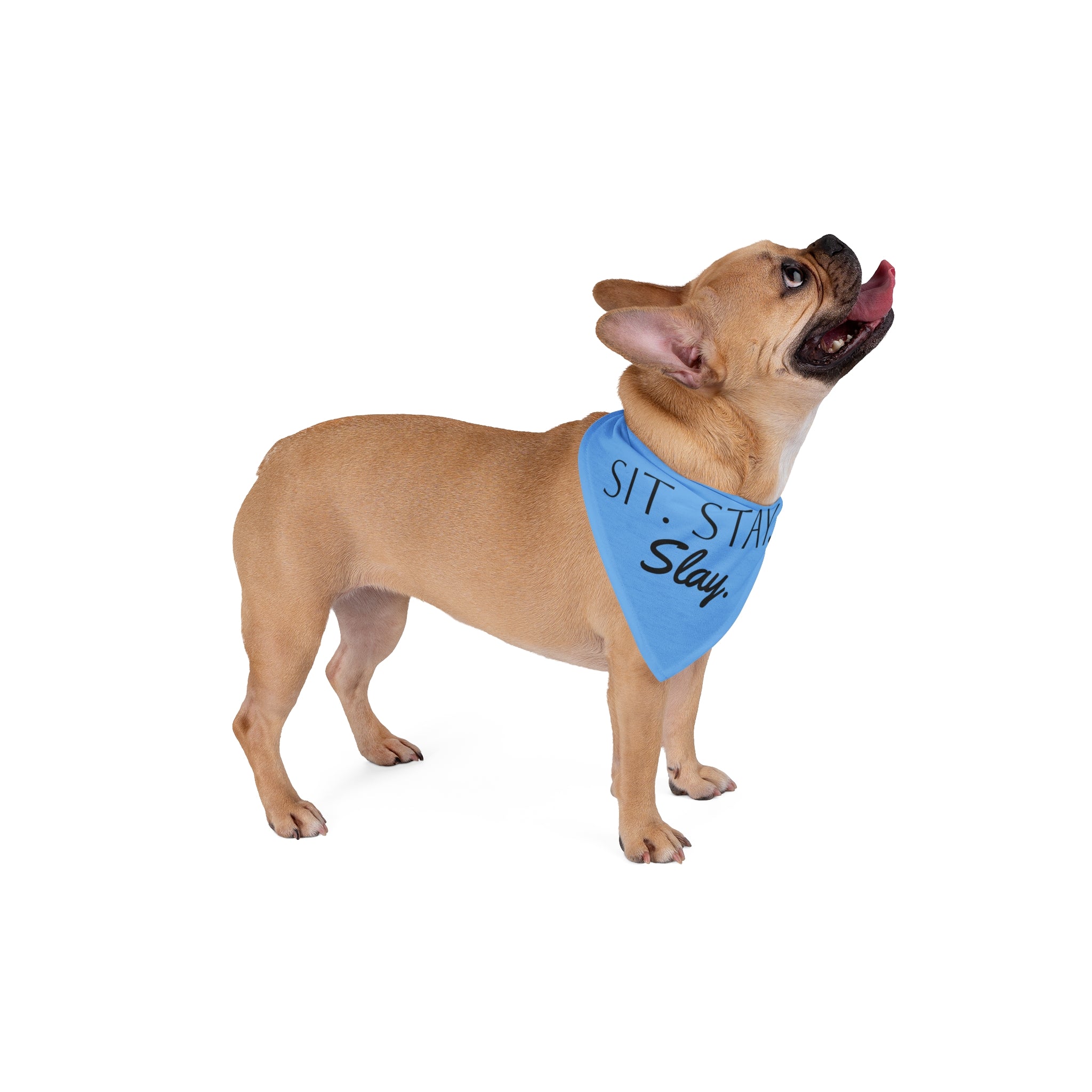 Blue “Sit Stay Slay” Dog Bandana
