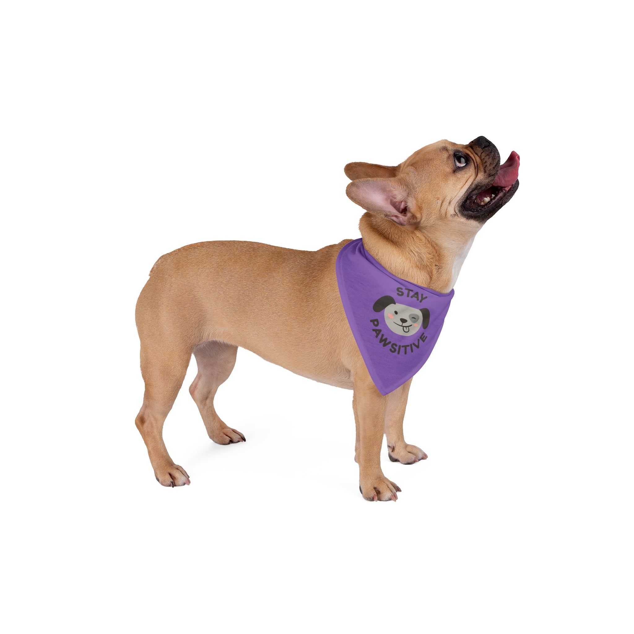 Stay Pawsitive Pet Bandana, Cute Dog Scarf for Small Pets, Puppy Fashion Accessory, Dog Lover Gift, Adjustable Pet Apparel